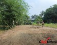 Bandel Green Acres
